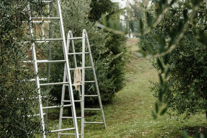 Van Eldik Ladders