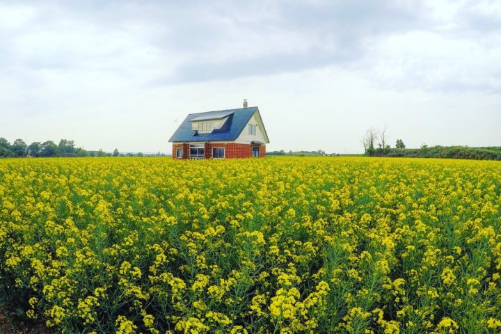 Droom om een eigen huis te bouwen? Dit mag je niet vergeten